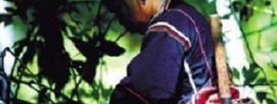 黎族巫医能治病吗，黎族巫医是怎样治病的_民俗文化 菊江历史网