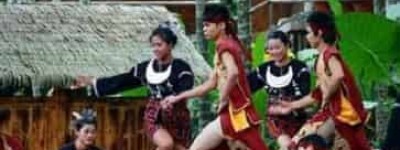 黎族快乐的打柴舞是什么样的，至今有何发展 菊江历史网