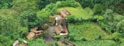 黎族当年是怎样砍山栏的，黎族农业简介 菊江历史网