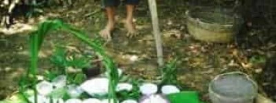 黎族巫医是真实的吗，黎族巫医是怎样治病的 菊江历史网