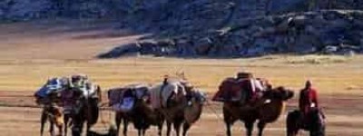 哈萨克族与维吾尔族的关系与区别 菊江历史网