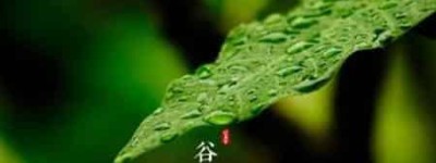 谷雨的谚语：关于谷雨的民间谚语大全 菊江历史网