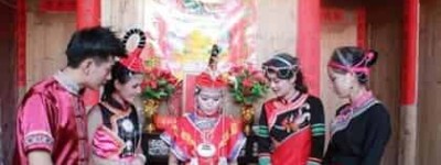 畲族民俗，畲族凤凰茶道有什么特点 菊江历史网