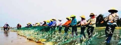 京族的特色美食小吃，京族米粉和金丝牛肉 菊江历史网