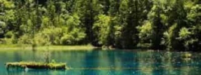 揭秘：羌族九寨沟的五绝究竟是什么 菊江历史网