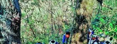 仡佬族文学，仡佬族的民间故事有哪些 菊江历史网