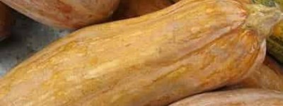 仡佬族民俗，仡佬族的送子之俗是什么习俗 菊江历史网