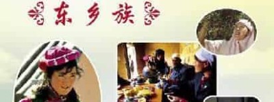 东乡族介绍，东乡族人口有多少分布在哪里 菊江历史网