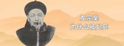 左宗棠为什么被处死_稗官野史 菊江历史网