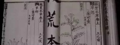 救荒本草是哪个朝代的,创作于明朝永乐初年(作者为朱元璋第五子)_明朝历史 菊江历史网