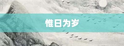 惟日为岁【惟日为岁的意思】- 成语大全