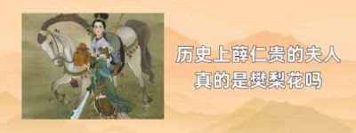 历史上薛仁贵的夫人真的是樊梨花吗_稗官野史 菊江历史网