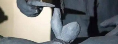 太监是割蛋还是割鸡，清朝以前割蛋蛋/清朝乾隆开始蛋和鸡全割_稗官野史 菊江历史网