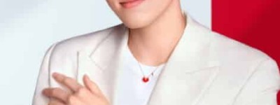 陈飞宇【中国内地男演员、配音演员，导演陈凯歌和演员陈红之子】 – 人物百科