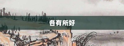各有所好【各有所好的意思】- 成语大全
