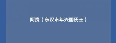 阿贵【东汉末年兴国氐王】 – 人物百科