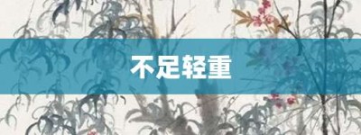 不足轻重【不足轻重的意思】- 成语大全