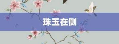 珠玉在侧【珠玉在侧的意思】- 成语大全
