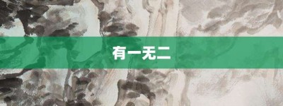 有一无二【有一无二的意思】- 成语大全