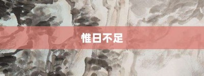 惟日不足【惟日不足的意思】- 成语大全