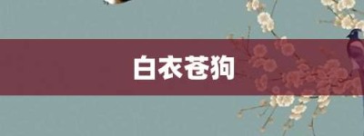 白衣苍狗【白衣苍狗的意思】- 成语大全