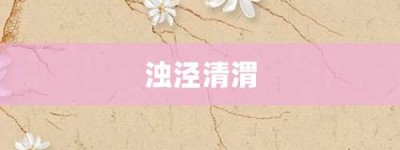 浊泾清渭【浊泾清渭的意思】- 成语大全