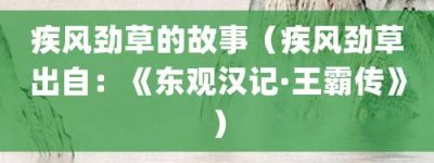 疾风劲草的故事（疾风劲草出自：《东观汉记·王霸传》）_成语故事 菊江历史网