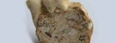 中国发现比元谋人更早的人类是什么人_稗官野史 菊江历史网