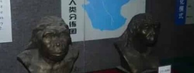 蓝田人为什么叫蓝田人，蓝田人早还是元谋人早_稗官野史 菊江历史网