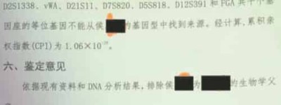 STR的命名中的DYS，DYZ和DYF前缀都是什么意思_稗官野史 菊江历史网