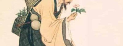 药王孙思邈什么朝代，唐朝唐高宗时期编撰《唐新本草》_帝王野史 菊江历史网