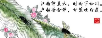 古人对夏天的雅称都有哪些_稗官野史 菊江历史网