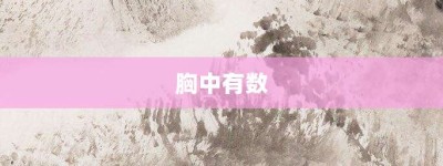 胸中有数【胸中有数的意思】- 成语大全