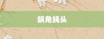 蜗角蝇头【蜗角蝇头的意思】- 成语大全