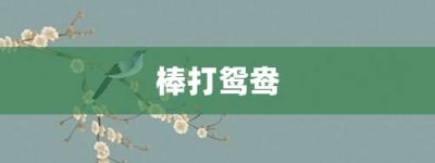 棒打鸳鸯【棒打鸳鸯的意思】- 成语大全