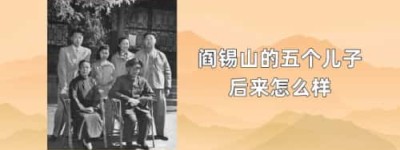 阎锡山的五个儿子后来怎么样_民国历史 菊江历史网