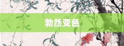 勃然变色【勃然变色的意思】- 成语大全