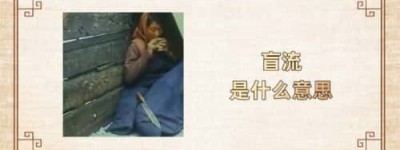 盲流是什么意思_稗官野史 菊江历史网