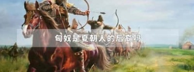 匈奴是夏朝人的后裔吗_稗官野史 菊江历史网