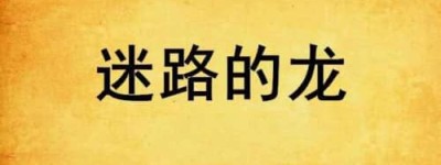 迷路的龙【创世中文网签约作者】 – 人物百科