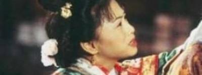 康熙为什么把建宁公主的丈夫儿子杀掉让她成了一个孤家寡人？_帝王野史 菊江历史网