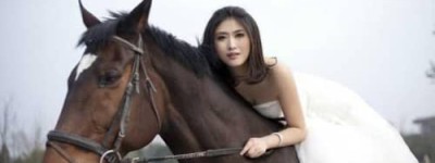 黄莉娟【花费上百万在成都200个公交站牌征婚】 – 人物百科