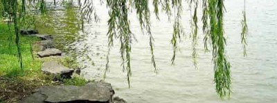 韩琮【唐代诗人，湖南观察使】 – 人物百科