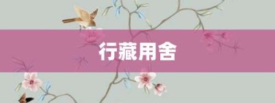 行藏用舍【行藏用舍的意思】- 成语大全