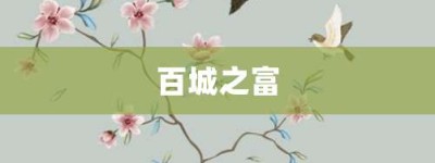 百城之富【百城之富的意思】- 成语大全