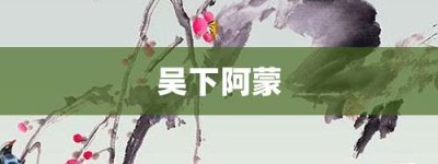 吴下阿蒙【吴下阿蒙的意思】- 成语大全