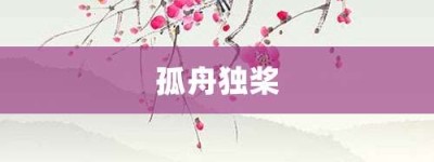 孤舟独桨【孤舟独桨的意思】- 成语大全