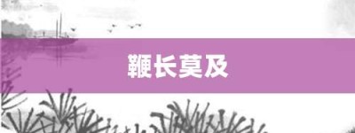 鞭长莫及【鞭长莫及的意思】- 成语大全