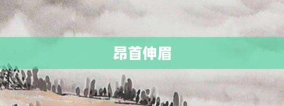 昂首伸眉【昂首伸眉的意思】- 成语大全