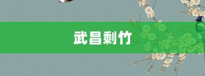 武昌剩竹【武昌剩竹的意思】- 成语大全